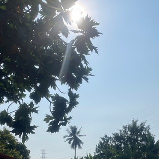 phththao1349