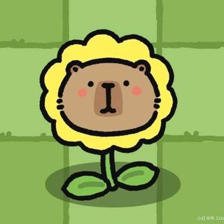 demy.win