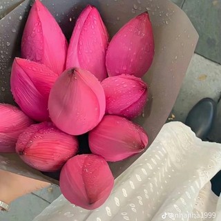 thuyngannguyen0367
