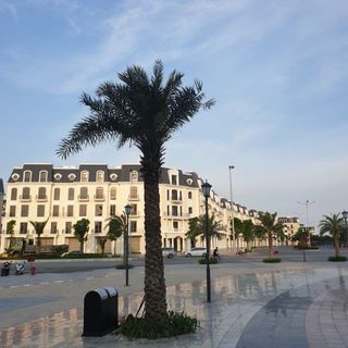 hoanglamnga2024