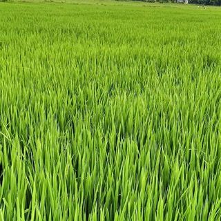 thanhhoi_88