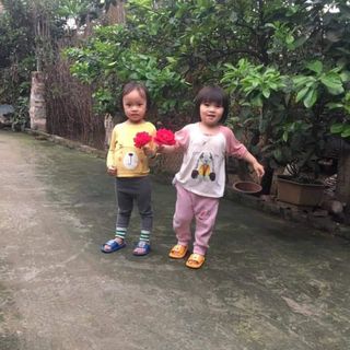 e5rc45ymcp