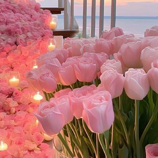 tinhtrinh989
