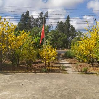 tuanh200724