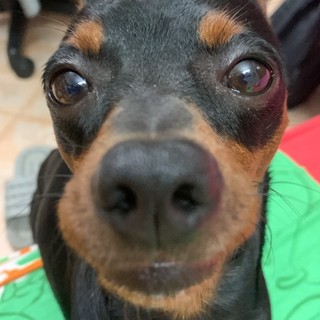 ngocphambao_08