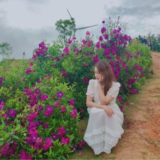 nguyennhu.0204
