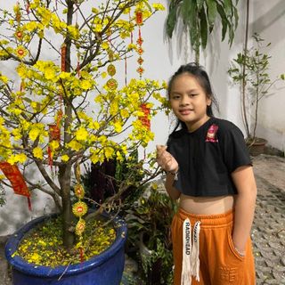 hoanganh________2405