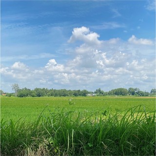 baotran_1992.