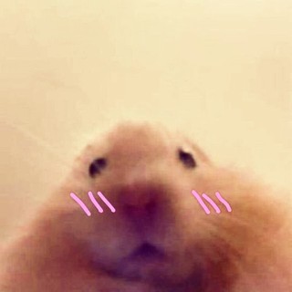 giaphuchuynh914
