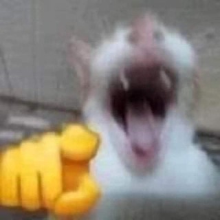 pepsucolacoca