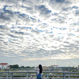 tran_thuy_chi