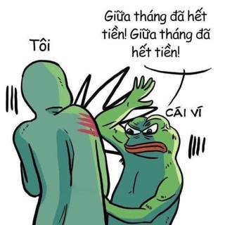 tohoanghao