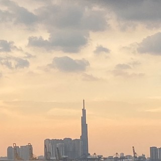 caigicungtao