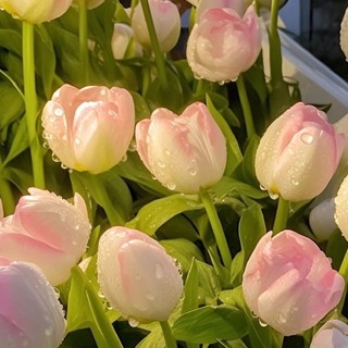 noou_florist
