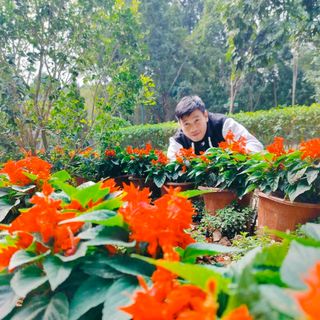 lananh279st