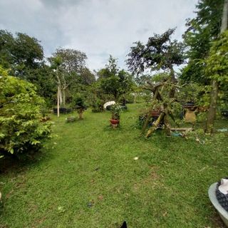 anhphuong3328