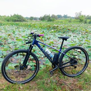lequanpro