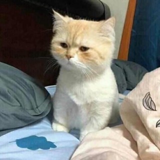 khanhlynhhhhh