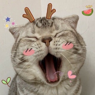 hapy.nari