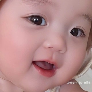 milkbp559