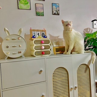 trnhsunny