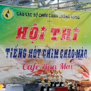 thanhtung.bd99