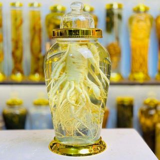 nhansam_kumsan_hanquoc