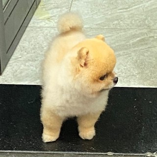 ninhgg