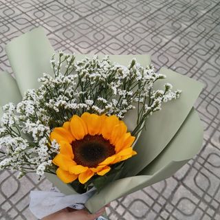 trang9693