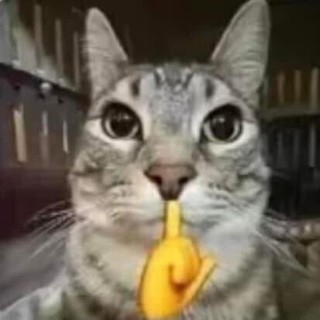 saqdng