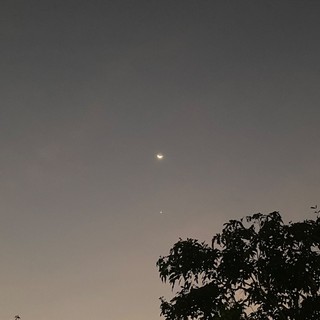 hvn.24.1_2345