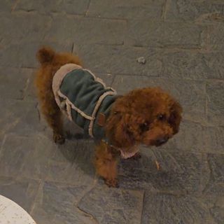 bbicrushie