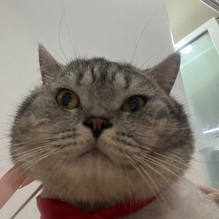 miamia_210898