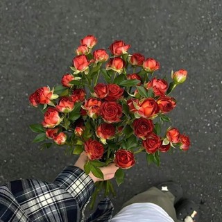 p_thfgi34p