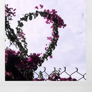 tthuy212