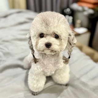 minh_minh_94