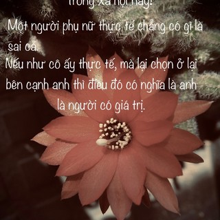 3rncxnhyt5