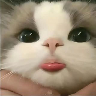 dieuu_vy