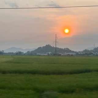 tranmyduyen11