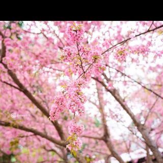 hattieube_22.com