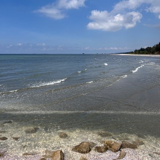 linhdan1420