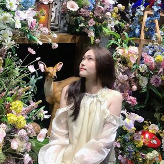 trang_tortoise