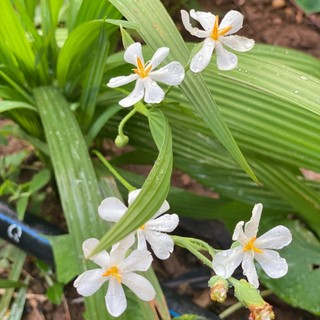 nguyenthuy90cp