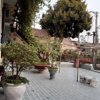 banhdaroi92