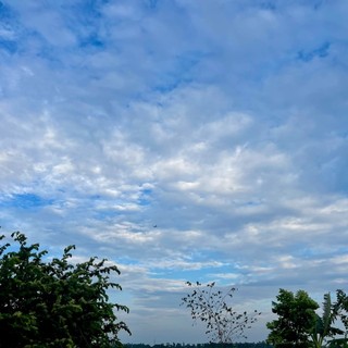 quangdungkimcuong3