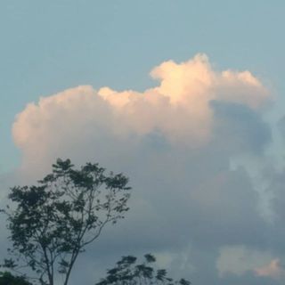 namhg114