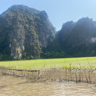 thutrang_22