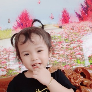 nghihuynh3101
