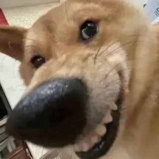 truongnguyennnt14
