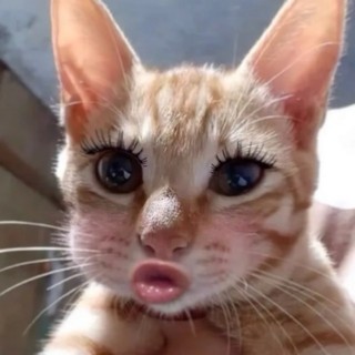 nhtminhnguyn934